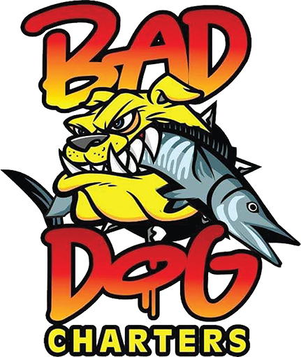 Bad Dog Charter - Deep Sea Fishing Trips, Water Taxi, Charters, all in the VI!